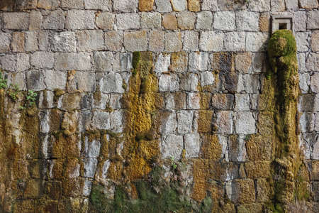 Moss and water falling from a natural stone wallの写真素材