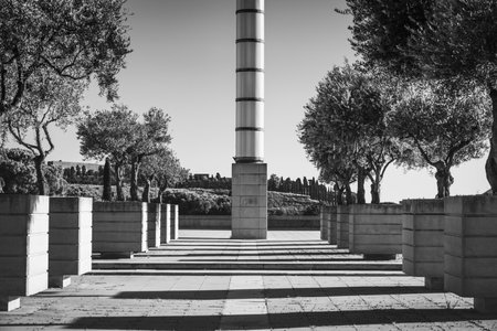 Urban passage with olive trees planted in concrete pots in black and whiteの写真素材