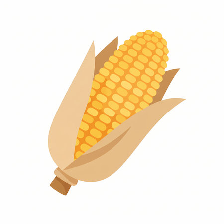 A vibrant illustration of a ripe ear of corn, partially covered by its natural husk, presented on a...