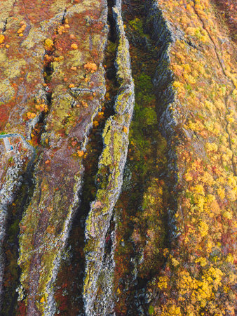 Autumn colors in Thingvellir National Park, in Iceland