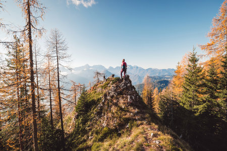 Majestic view of lonley woman hiker standing on top of the hill, autumn forest surrounding her, looking at the view of the mountains in the backgroundの写真素材