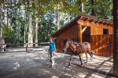 Woman trainer walking side by side with the horse at the ranchの写真素材