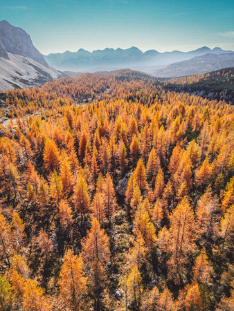 Vertical photo of orange autumn forest in the valley of Triglav national park with a view of mountain peaks in the backgroundの写真素材