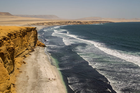 Paracas National Parkの写真素材
