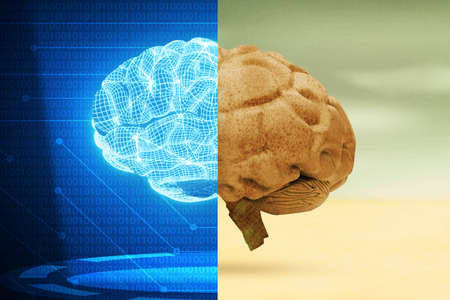 Digital illustration of human brain in digital background. 3D rendering.の写真素材