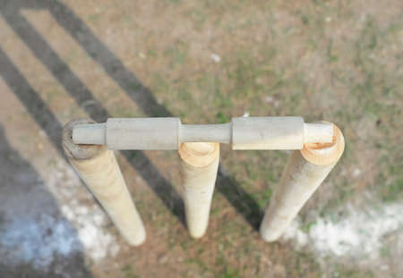 A vertical shot of a pair of wooden bollards in the park