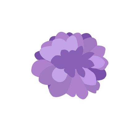 Botanicalのイラスト素材