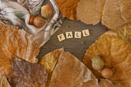 Fall graphic with leaves and floral fabric