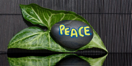 Peace rock with leaf backgroundの写真素材