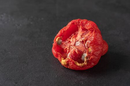 Spoiled tomato on a black background. Tomato with mold. Improper storage of vegetables. Waste food....