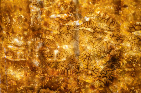 Mosaic of polished amber plates in contour sunlight as background, close up, selective focusの写真素材