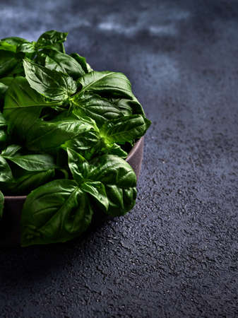 Fresh green basil in ceramic bowl on a dark background. Veretical orientation, close up, copy spaceの写真素材