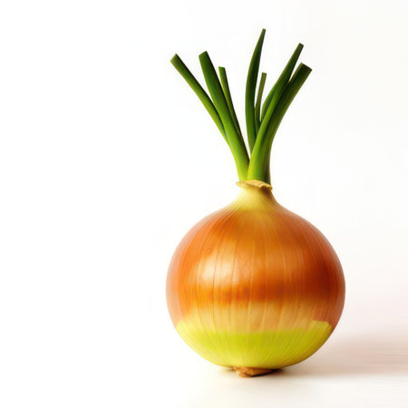 Onion isolated on a white background. Generative AIの素材