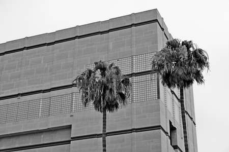 Elements and facades of buildings on the streets of Los Angeles, USA, July 2019.のeditorial素材