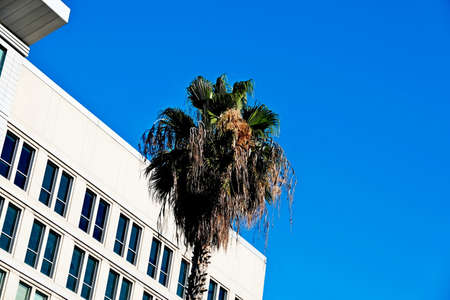 Elements and facades of buildings on the streets of Los Angeles, USA, July 2019.のeditorial素材