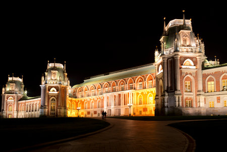 The Grand Palace of the Museum-reserve "Tsaritsyno" at night, Moscow, Russiaのeditorial素材