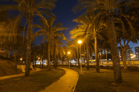City park at night in Ashdod, Israel