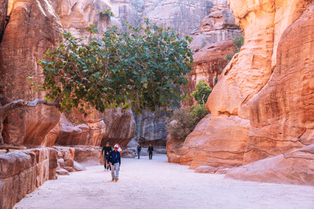 PETRA, JORDAN - NOVEMBER 04, 2016: Tourists in narrow passage of rocks of Petra canyon in Jordan. Petra has been a UNESCO World Heritage Site since 1985. Way through Siq gorge to stone city Petraのeditorial素材