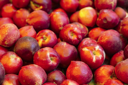 nectarines on the counter in the storeの写真素材