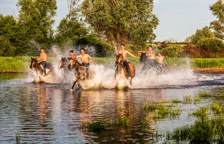 Young people joyfully riding horses across the river in the spray of water in the early morningの写真素材