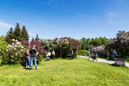 Citizens walk in the Lilac garden on a summer day. Moscow, Russiaのeditorial素材