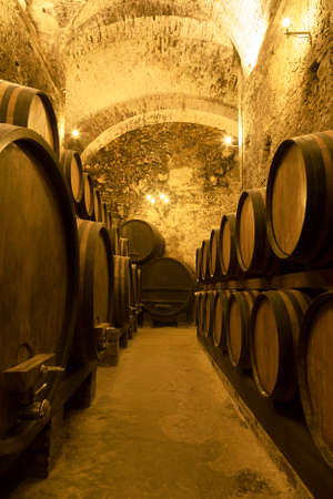 Ancient wine cellar with rows of wooden wine barrelsの写真素材