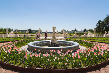 View of the Large parterre with a pink fountain and sculptures on a sunny summer day. Arkhangelsk Museum-Reserve.Moscow Region, Russiaのeditorial素材