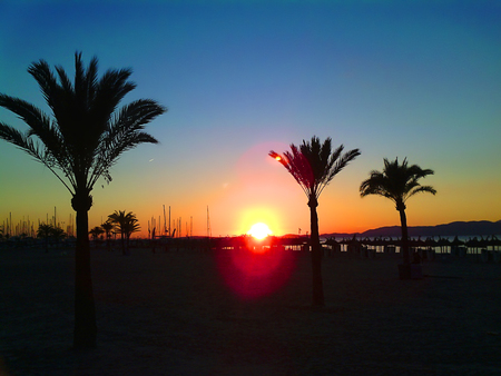 Sea with beach at sunset with palm treesの写真素材