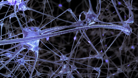 3D rendering of a network of neuron cells and synapses through which electrical impulses and...