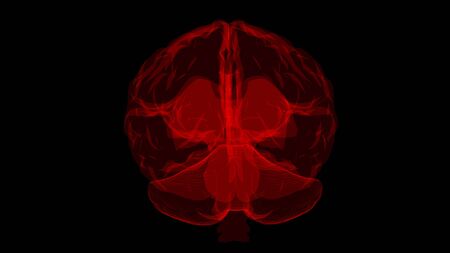 3D rendering of a computer model of a human brain. The concept of artificial intelligence and...