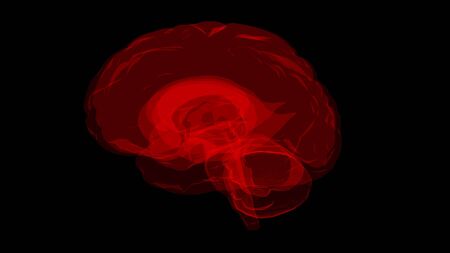 3D rendering of a computer model of a human brain. The concept of artificial intelligence and visualization of data on the structure of the brain from a medical tomography apparatusの写真素材