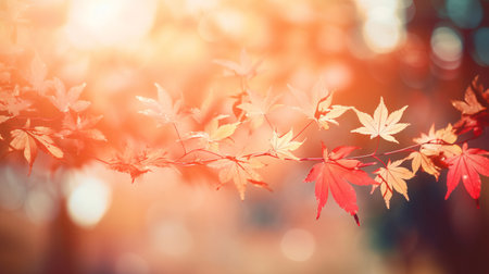 Autumn bright colored leaves. Golden time of year. Bright colors of natureの素材