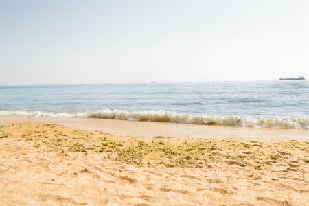 Summer beach. Yellow sand, seaweed and summer blue sea with sky and free space. Ships at sea in the distance. Vacation. Heat. Summer holiday. Backgroundの写真素材