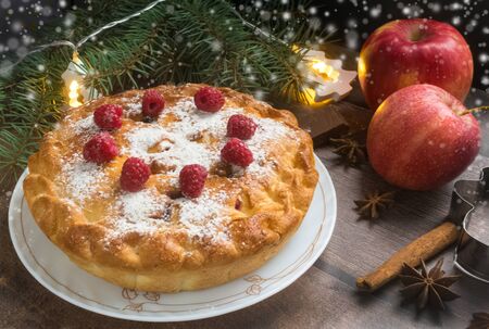 Delicious raspberry pie with berry jam, icing sugar and spices for Thanksgiving or Christmas on dark...