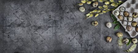 Happy Easter quail eggs in a nest on a dark stone background with green leaves and willow...