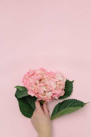 Valentines day banner postcard or poster for sale in the store. vertically.top view.copy spaceの写真素材