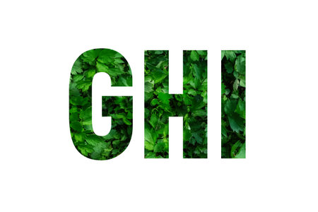 English alphabet in green letters on a white background.Zero waste.Concept.Eco-friendly life.Protection of the environment.Let's save nature together.Recycling.Eco.Spring.banner letters ghiの写真素材