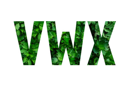 English alphabet in green letters on a white background.Zero waste.Concept.Eco-friendly...
