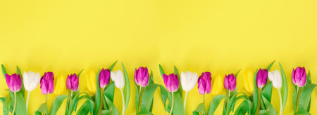 Mothers day.Tulip flower with petals on pink background.Womens day.love.postcard.Banner.Advertising for the store and holiday sale.copy space.mock up.flat lay.の写真素材