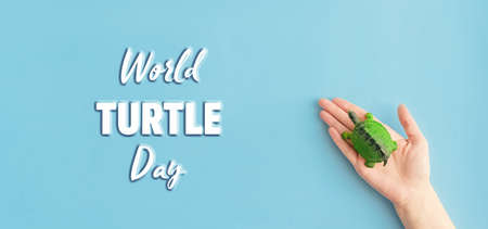 World turtle day and Ocean environmental day.Small turtle in arms of a mother and daughter on blue background.Save sea plastic pollution.Climate change, Environmental CSRの写真素材