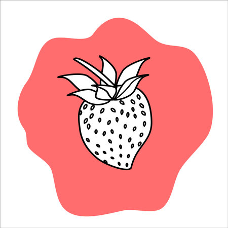 Vector coloring book for meditation and relax.Fruits.Black and white image on a red background of isolated elements. Strawberriesのイラスト素材