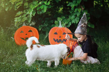 Happy Halloween day. Little girl dressed in a witch costume holds bucket of sweets next to her beloved pet dog and looks at the candy in autumn park. A holiday party. Kids trick or treatの写真素材