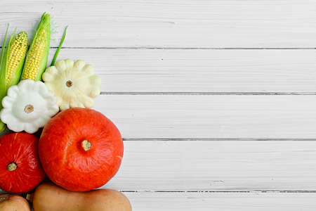 Ripe vegetables, corn and pumpkins from autumn garden on white background outdoor. Fall autumn concept. Harvest festival. Greeting card or banner for sales. copy space.の写真素材