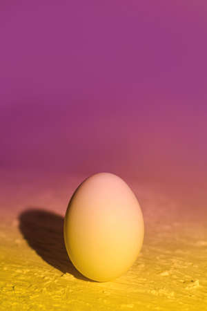 Egg on background of proton purple and yellow neon light. The cosmic universe. The concept of an Easter egg in a new reality. copyspace. vertical photoの写真素材