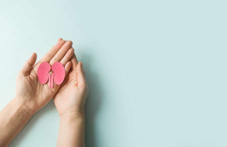 world kidney day. Woman holding kidney shaped paper on blue background. National Organ Donor Day. Kidney health concept. top view banner. copy spaceの写真素材