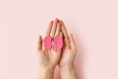 world kidney day. Woman holding kidney shaped paper on pink background. National Organ Donor Day....
