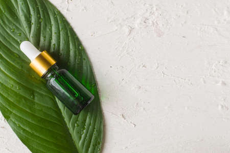 Glass cosmetic bottle with essential oil, vitamin and prebiotic serums lie on a green leaf. Eco cosmetics for hair care on white background. copyspace. banner.の写真素材