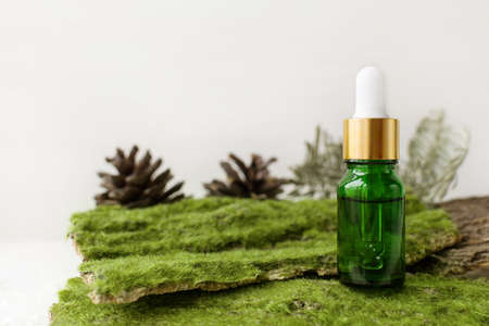 Eco cosmetic product for skin care. Natural serum in glass cosmetic bottle with oils, healthy aloe, vitamins for lies on natural forest moss and tree bark. Organic eco bio beauty cosmetics.の写真素材