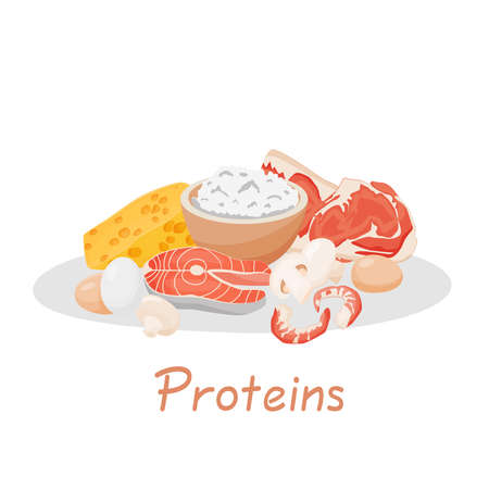 Set of healthy food macronutrients. Proteins presented by food products. Cottage cheese, meat, fish steak, shrimp, mushrooms, eggs. Vector illustration of nutrition categories. balanced nutrition.のイラスト素材