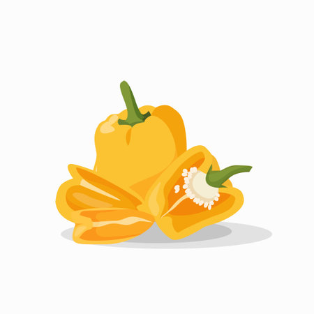 Yellow pepper. Set yellow pepper whole, cut slices. Vector illustration on a white background.のイラスト素材